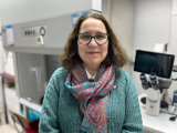 maria pilar sanchez, ecofarmacovigilancia, usach, universidad de santiago, facultad de quimica y biologia